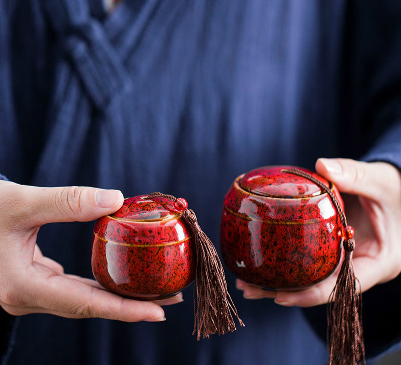 Urna za pepeo kućnih ljubimaca Ručno oslikana keramika Kremiranje urne Držač za pepeo ptica ptica Pokop kod kuće