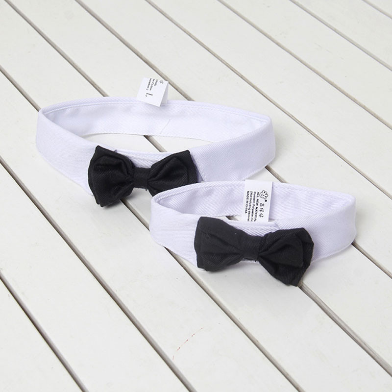 Mājdzīvnieka kaķa tauriņa regulējama mājdzīvnieka kaklasaites kostīms, oficiāla suņa kaklasiksna maziem suņiem un kaķiem Mājdzīvnieku aksesuāri kāzu ballītei