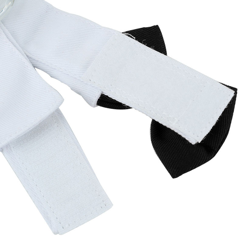 Mājdzīvnieka kaķa tauriņa regulējama mājdzīvnieka kaklasaites kostīms, oficiāla suņa kaklasiksna maziem suņiem un kaķiem Mājdzīvnieku aksesuāri kāzu ballītei