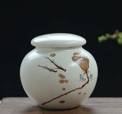 Urna za male kućne ljubimce Ptice Pas Urne za kućne ljubimce Kremiranje Lijesovi za kućne ljubimce Pogrebna vaza Kremiranje mačaka Pepeo za ljudski pepeo Ručno oslikana keramika