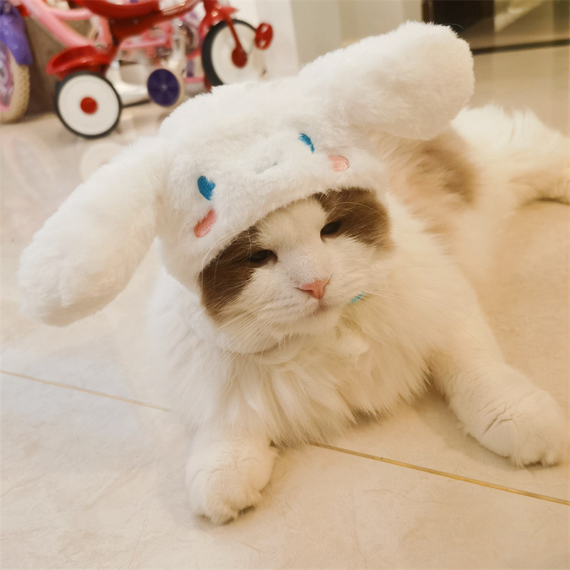 Kaķis Jauka multfilma Dekoratīva Smieklīga kaķa galvassega Kaķu suņa cepure Galvassega Mājdzīvnieks Jauki Smieklīgi Artefakts Silta plīša mājdzīvnieku cepure Mājdzīvnieku foto rekvizīti