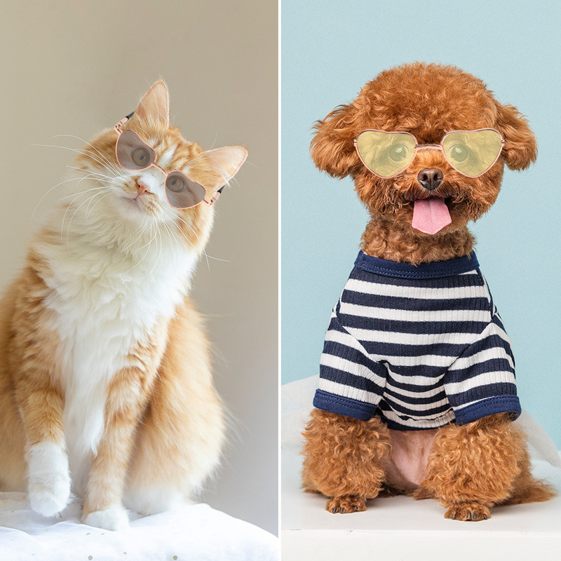 1PC Metalne sunčane naočale u obliku srca Modne sunčane naočale za kućne ljubimce za kućne ljubimce Mačje oči za mačke Mali pas Fotografije mačaka Rekviziti Slatke cool naočale za dotjerivanje