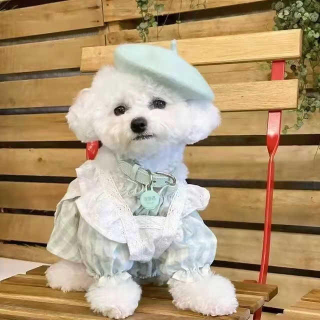 Ins jednobojni kućni ljubimac pas mačka slikar vuneni šešir beretka mini ukrasna foto pokrivala za glavu štene memorijal božićni luksuzni dizajnerski šešir