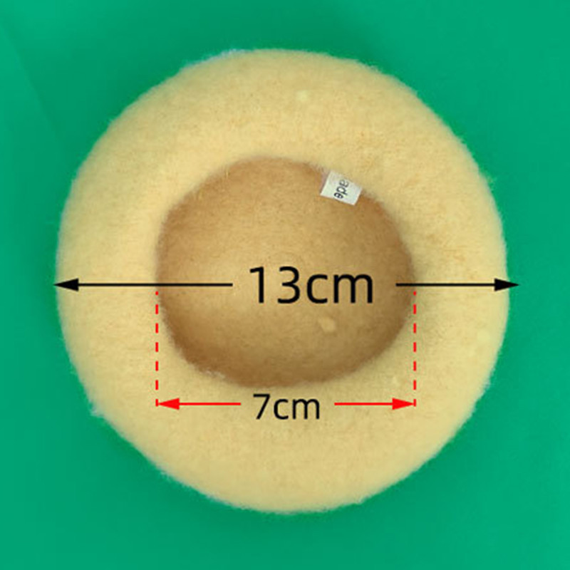 Ins jednobojni kućni ljubimac pas mačka slikar vuneni šešir beretka mini ukrasna foto pokrivala za glavu štene memorijal božićni luksuzni dizajnerski šešir