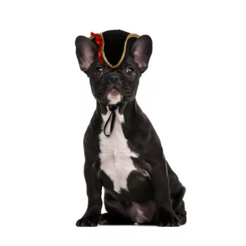 Творчески костюм за домашен любимец Ролева шапка за котка Хелоуин Полицейски пиратски капитан Моряшко куче Шапка Позиращ реквизит Шапка за домашни любимци Котешка шапка