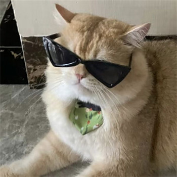 Personalize Sphynx γυαλιά ηλίου Αξεσουάρ για κατοικίδια για γάτες Puppy kitten γυαλιά αντιανεμικά γυαλιά κατοικίδιων ζώων Εξωτερικά ταξιδιωτικά γυαλιά