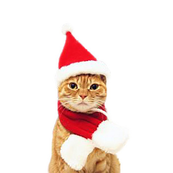 Κοστούμια Cosplay με κουκούλα Santa Cat Ρούχα για Χριστουγεννιάτικα Κασκόλ για σκύλους Ακρωτήρι Καπέλο Witcher Καπέλο γατάκι κατοικίδιο φωτογραφικά στηρίγματα Σετ καινοτόμα ρούχα