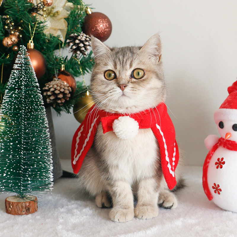 Ziemassvētku vecīša kaķa ar kapuci Cosplay kostīmi Apģērbi Ziemassvētkiem Suns Apmetnis Šalle Witcher Cepure Kaķēns Mājdzīvnieku rekvizīti Komplekti Jaunums Apģērbs