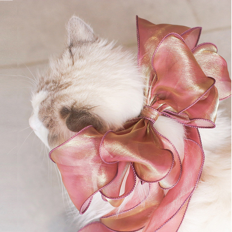 Princess Vrpca Čipkana ogrlica za mačke Elegantna svilena gaza Ogrlica za pse Dodaci za mačke Slatki mačići Dekor za vrat Mašne za kućne ljubimce Jorkiji krpa