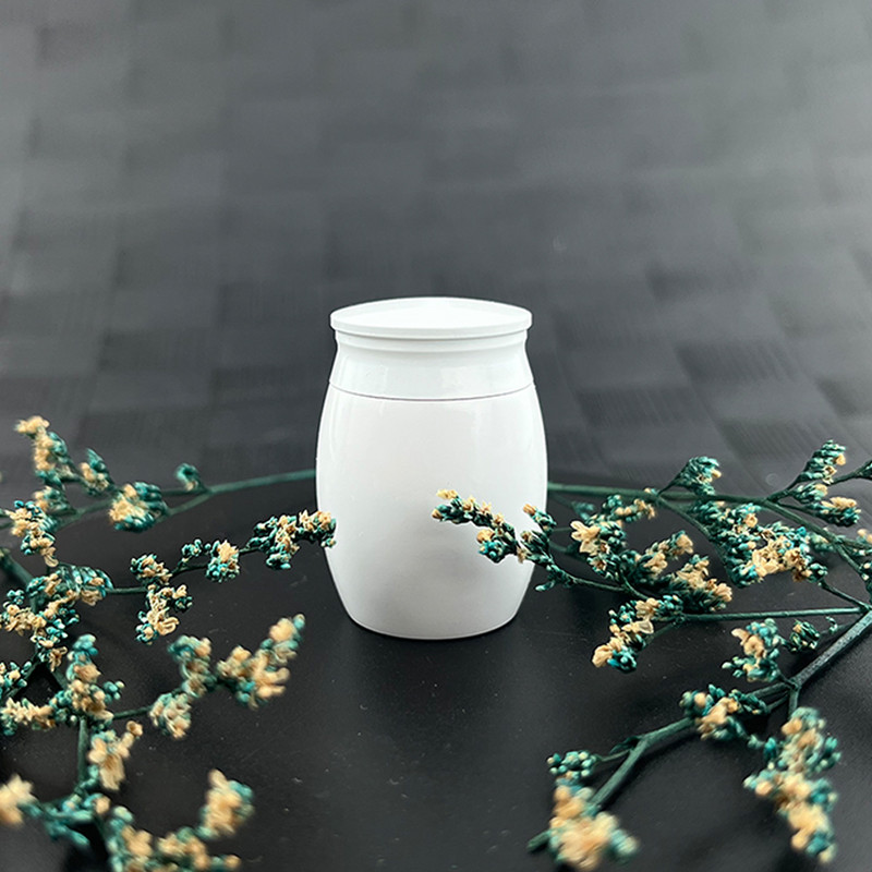 Mala urna za ljudski pepeo Mala urna za uspomene Mini kremacijske urne za pepeo Memorijalni držač pepela - Vaša su krila bila spremna, ali moj H