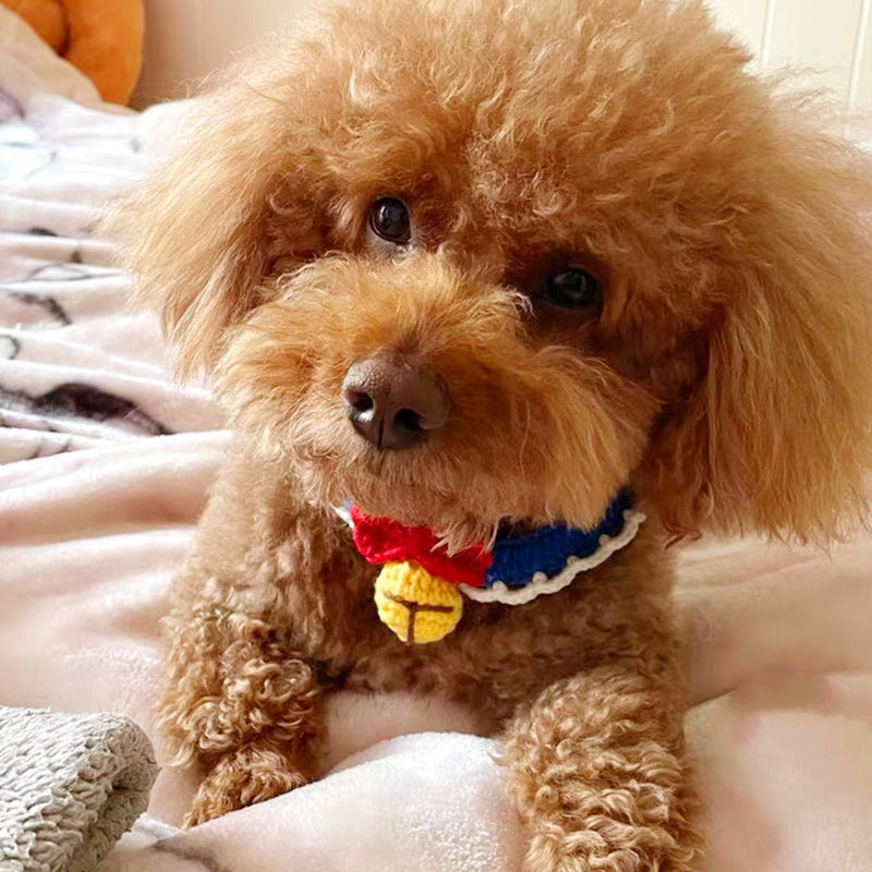 Pređa za kućne ljubimce Pletene ogrlice Mačke Psi Ručno izrađeni rođendanski ukrasi Zvona Bibs Slatki