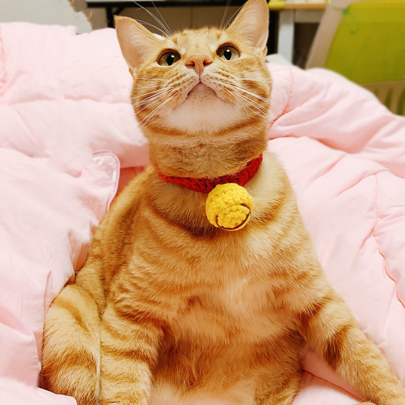 Pređa za kućne ljubimce Pletene ogrlice Mačke Psi Ručno izrađeni rođendanski ukrasi Zvona Bibs Slatki