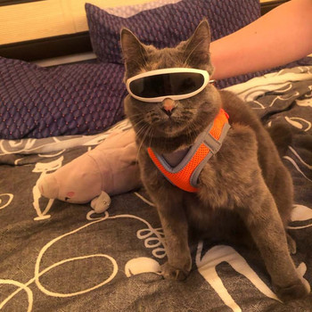 Cool Cat Dog Goggles Слънчеви очила Смешни сладки котки Малко куче слънчеви очила за коте Подпори за фотография Cosplay костюм Аксесоари за домашни любимци