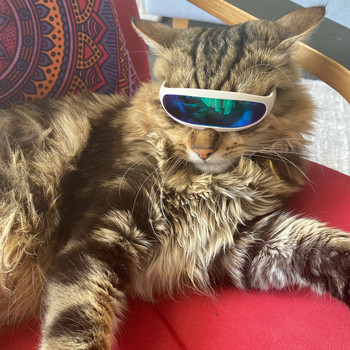 Cool Cat Dog Goggles Слънчеви очила Смешни сладки котки Малко куче слънчеви очила за коте Подпори за фотография Cosplay костюм Аксесоари за домашни любимци