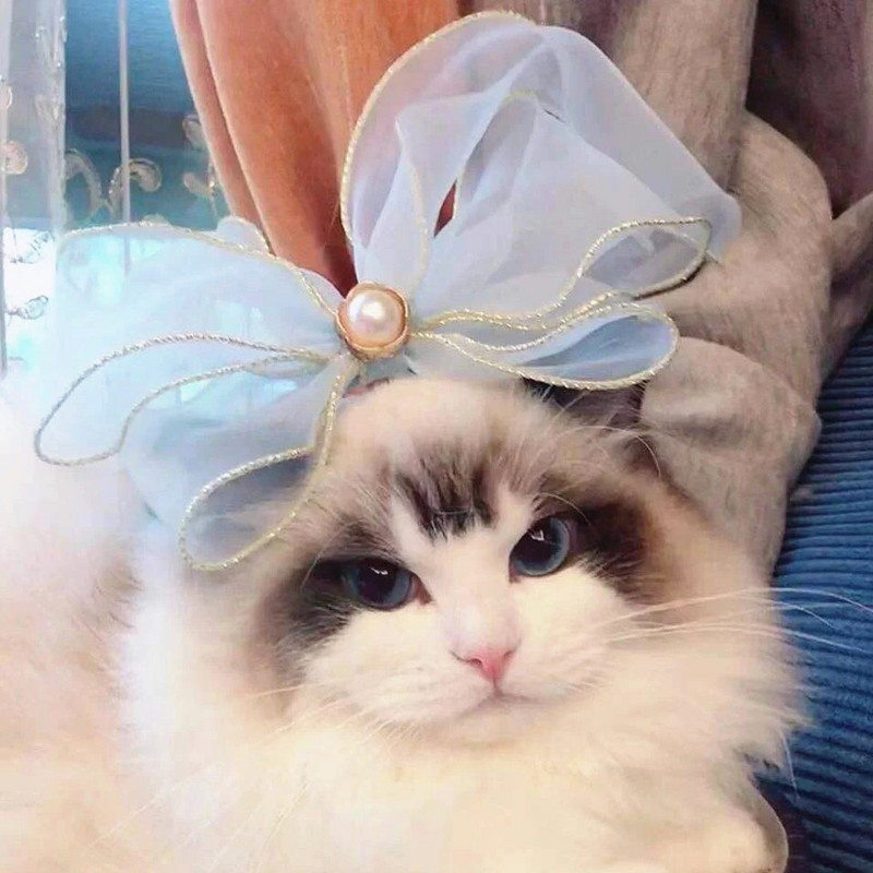 Vrpca Satenska mače Mačka Ogrlica Biserna vila Gradient Pas Mašna Ogrlica Dekoracija za glavu Mašne za kućne ljubimce Dodaci za mačke Ragdoll Silvercat