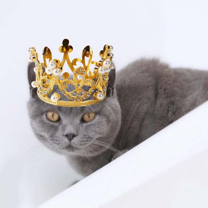 Kaķu bandana pievilcīga plastmasas kospleja princeses stila kucēna dzimšanas dienas cepure mājdzīvnieku matu kroņa mājdzīvnieku piederumi