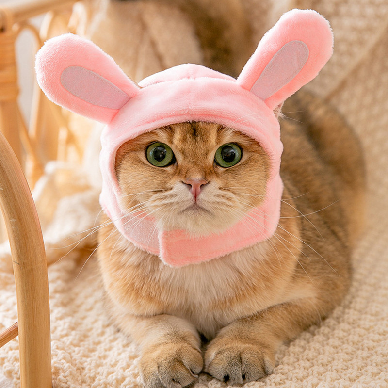 Smiješna kapa za mačku Plišani kostim za dotjerivanje Šešir za kućne ljubimce Božićni cosplay Topla udobna pokrivala za glavu Pse Kape Blagdansko štene Dodaci za mačke