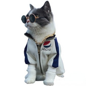 Slatki vintage okrugli odsjaj Nosite naočale za oči Dodaci za mačke Sunčane naočale za ljubimce Dodaci za pse za male pse Fotografije Rekviziti