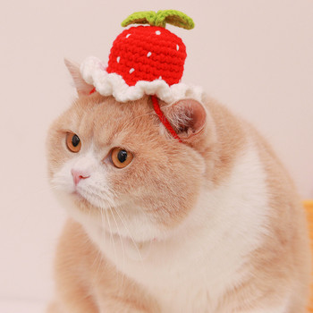 Γελοιογραφία Χειροποίητο καπέλο βάτραχος γάτα μαλλί πλεκτό καπέλο σκύλου ροζ φράουλα γατάκι Στολή κουκούλα γουρουνιού Αξεσουάρ για ζώο πατημασιά Τσιουάουα