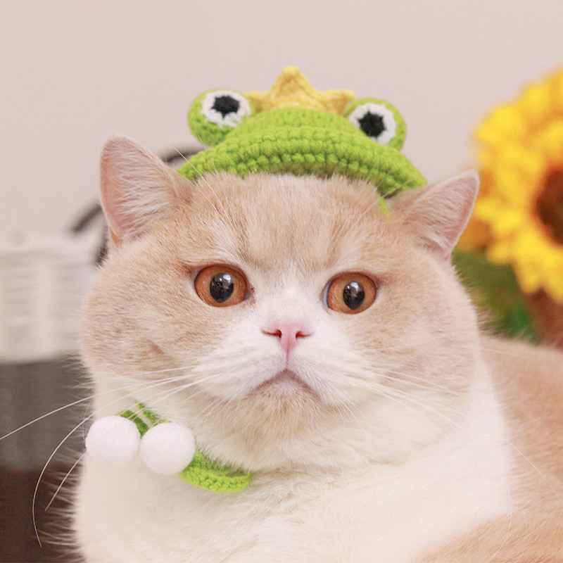 Crtani ručno rađeni šešir od žabe, mačke, vunene pletene kape za pse, kostim mačića s ružičastom jagodom, kapuljača, dodaci za mačke za čivavu, mops