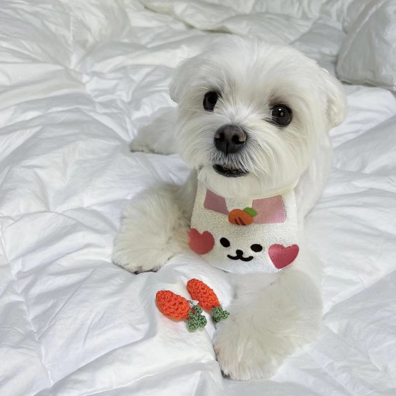 INS Suņi Suņi Jauki Trusis Bib Suns Kaķis Mājdzīvnieks Siekalas Kabatas Siekalu Dvielis Nekā Lācis Teddy Mājdzīvnieki Kaķēnu Aksesuāri Suņu Tērpi Apkakles