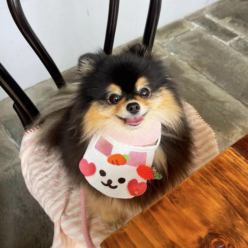 INS Suņi Suņi Jauki Trusis Bib Suns Kaķis Mājdzīvnieks Siekalas Kabatas Siekalu Dvielis Nekā Lācis Teddy Mājdzīvnieki Kaķēnu Aksesuāri Suņu Tērpi Apkakles