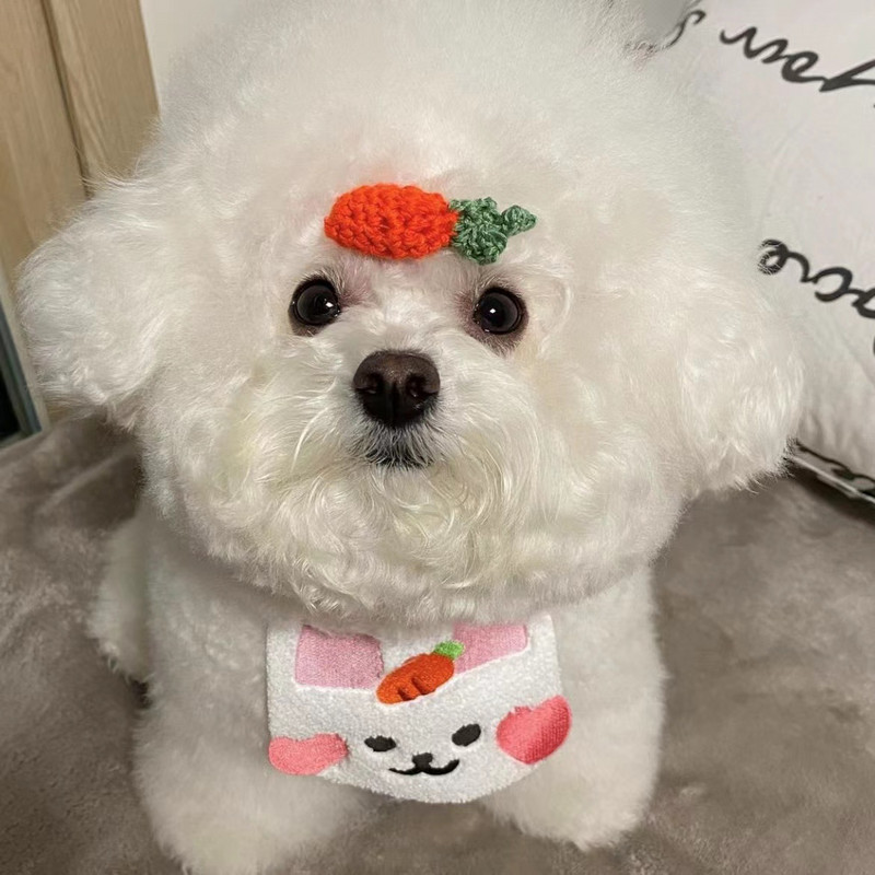 INS Suņi Suņi Jauki Trusis Bib Suns Kaķis Mājdzīvnieks Siekalas Kabatas Siekalu Dvielis Nekā Lācis Teddy Mājdzīvnieki Kaķēnu Aksesuāri Suņu Tērpi Apkakles