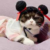 Šešir za kućne ljubimce Pokrivalo za glavu mačke Pokrivalo za glavu psa Slatka mala životinja Smiješna kapa Oprema za kućne ljubimce Pribor za kućne ljubimce Pribor za mačke Pribor za pse