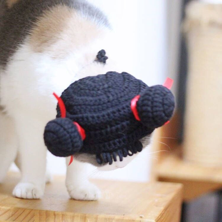 Šešir za kućne ljubimce Pokrivalo za glavu mačke Pokrivalo za glavu psa Slatka mala životinja Smiješna kapa Oprema za kućne ljubimce Pribor za kućne ljubimce Pribor za mačke Pribor za pse