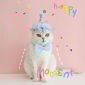 Animal de companie Pisică Câine Paiete Guler Papion Dantela florală Pălărie pentru ziua de naștere Set articole pentru cap pentru animale de companie Guler pentru pisici Guler pentru animale de companie Accesorii pentru animale de companie