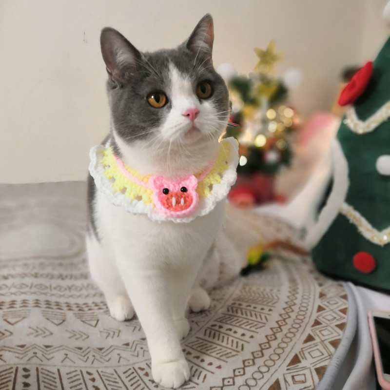 Destul de croșetat Animal Pisică Accesorii Pisici Papioni Tricotat Pisicuță Colier Câine Pălărie Roz Iepuraș Gât Decor Yorkie Ragdoll