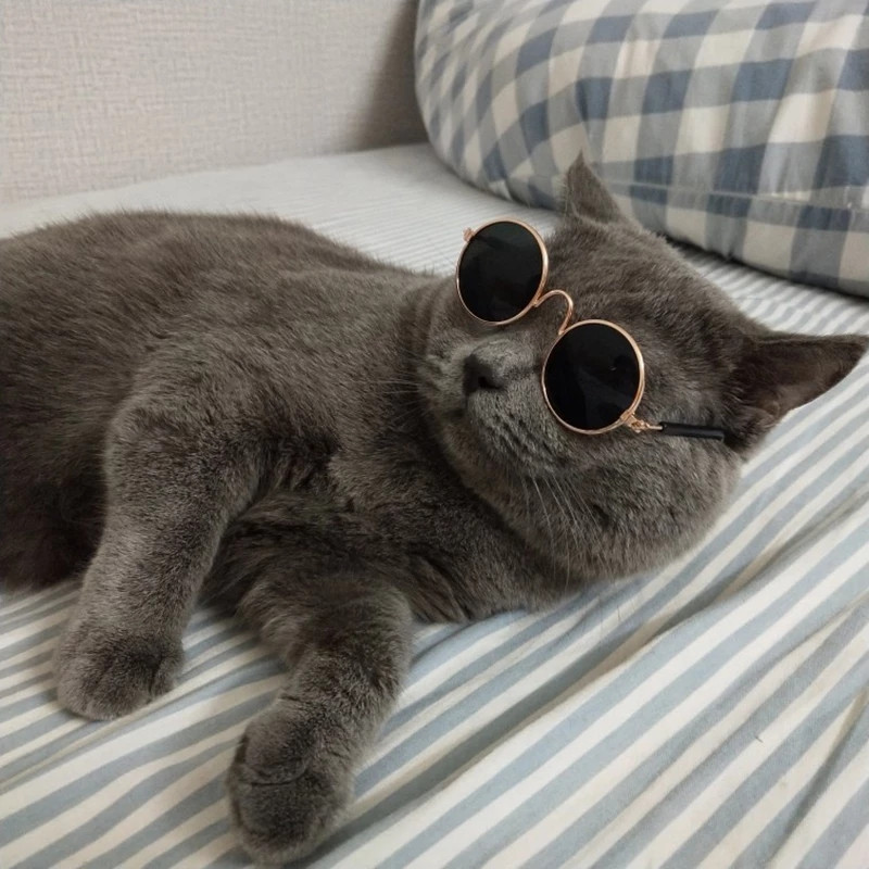 Modne okrugle sunčane naočale za mačke, pse, prozirne i reflektirajuće naočale za kućne ljubimce s pojasom protiv klizanja za mačke Puppy gatos accesorios maskotas