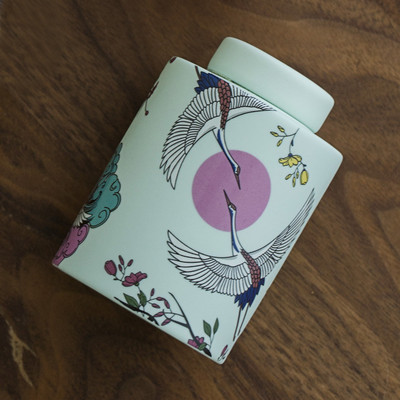 Apbedīšanas pelnu urna cilvēku kremēšanai Mājdzīvnieku pelnu turētājs Piemiņas biedru pelni Keramikas urnas zārks suņa kaķa putnu urna