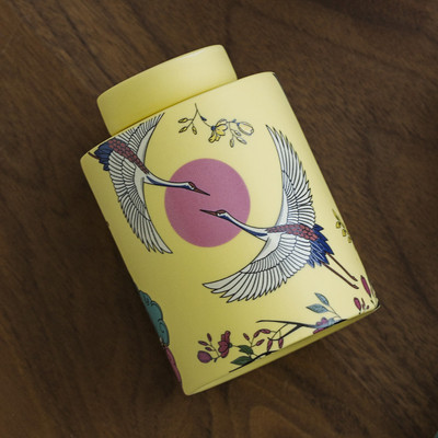 Apbedīšanas pelnu urna cilvēku kremēšanai Mājdzīvnieku pelnu turētājs Piemiņas biedru pelni Keramikas urnas zārks suņa kaķa putnu urna