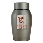 Male urne za ljudski pepeo Mali memorijalni držač za pogrebni pepeo Always In My Heart Urne za uspomenu za ljudski/kućni pepeo Idealno