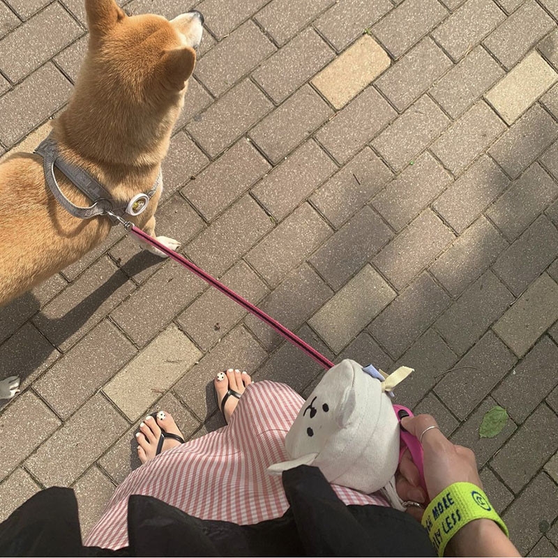 Izejmateriāli suņiem Mājdzīvnieki iziet Pakaišu maiss Kakas savācējs Lāpsta kakas maisiņš Jauki trusis Kokvilnas pastaigu suņu pārnēsāšanas atslēgu soma