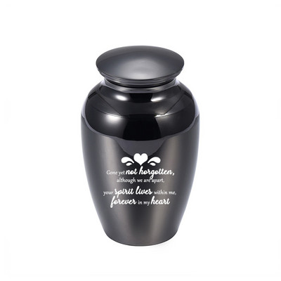 Plavi ljudski pepeo Keepsake Love Heart Memorial Urn Mini kremacijske urne Držač pepela-Zauvijek u mom srcu