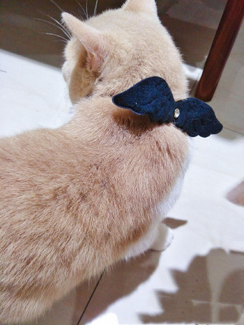 Χαριτωμένο μικρό άγγελο φτερά γάτας Μικρό σκύλο γιακά κολιέ έλξης