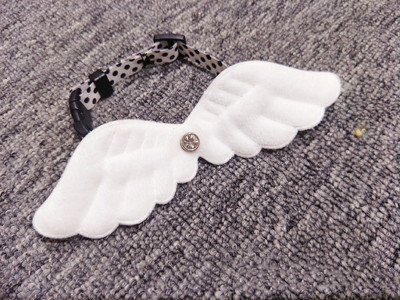 Cute Little Angel Wings Cat Small Dog Pet Collar Kaklarota Vilces