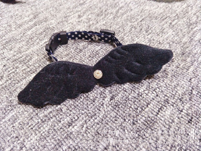 Cute Little Angel Wings Cat Small Dog Pet Collar Kaklarota Vilces