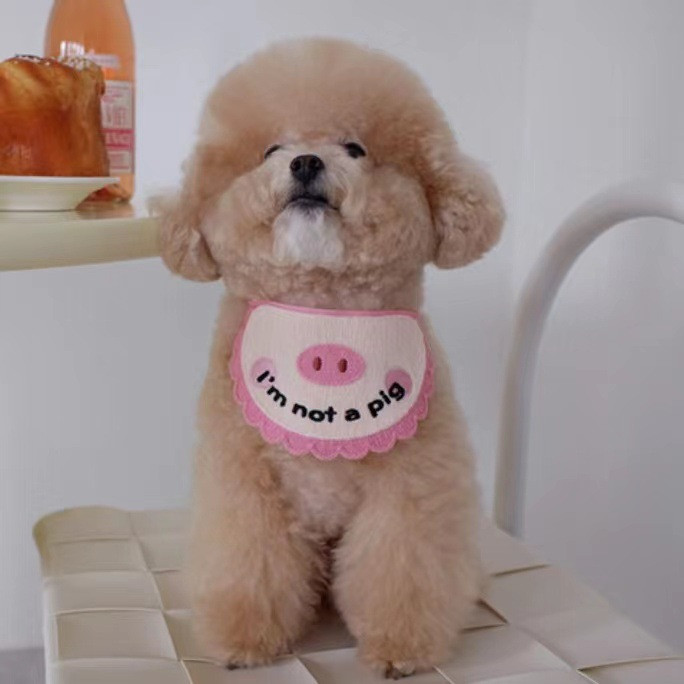 Ins New Slatka svinja Bib Psi Mačke Pet Slina Ručnik Bib Than Bear Medvjed Rekviziti za fotografije Dodaci za mačiće Dizajn odjeće za pse Dodaci