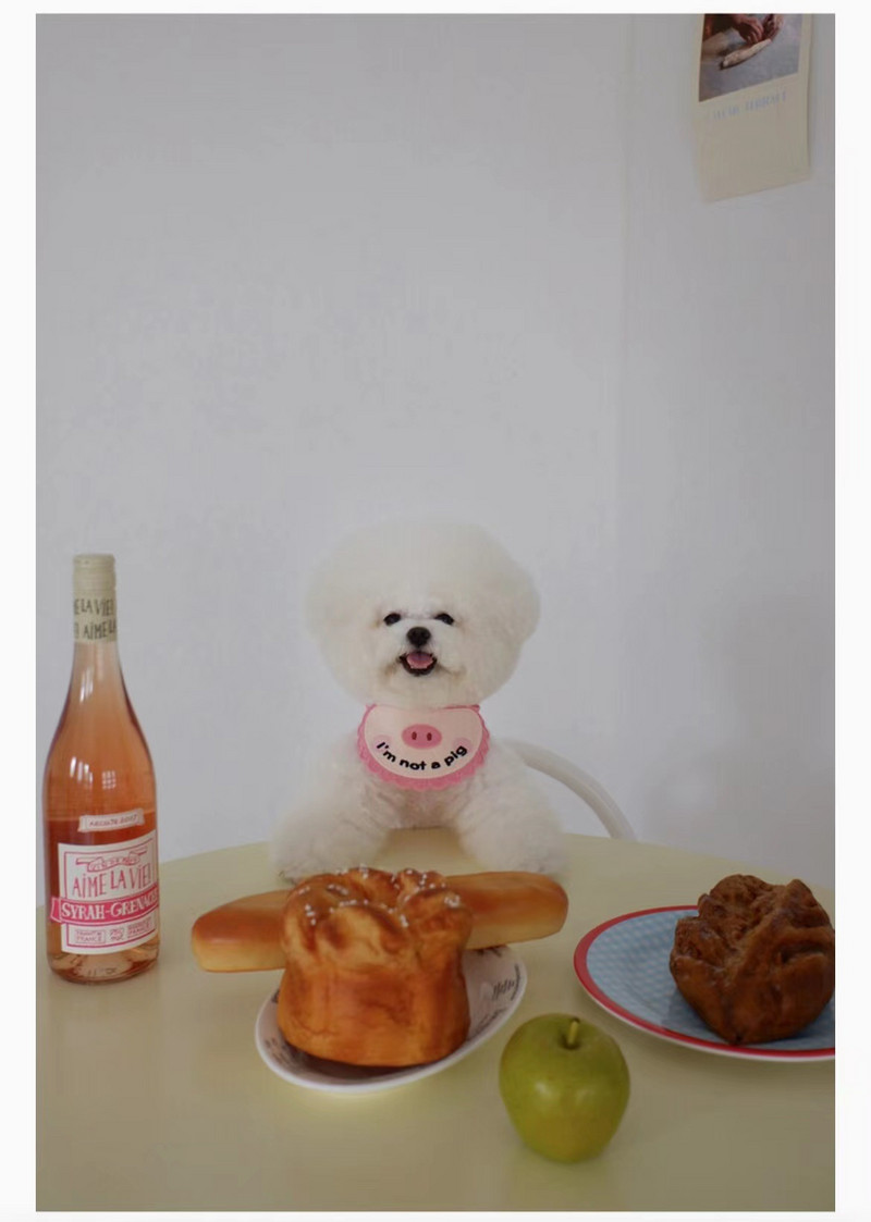 Ins New Slatka svinja Bib Psi Mačke Pet Slina Ručnik Bib Than Bear Medvjed Rekviziti za fotografije Dodaci za mačiće Dizajn odjeće za pse Dodaci