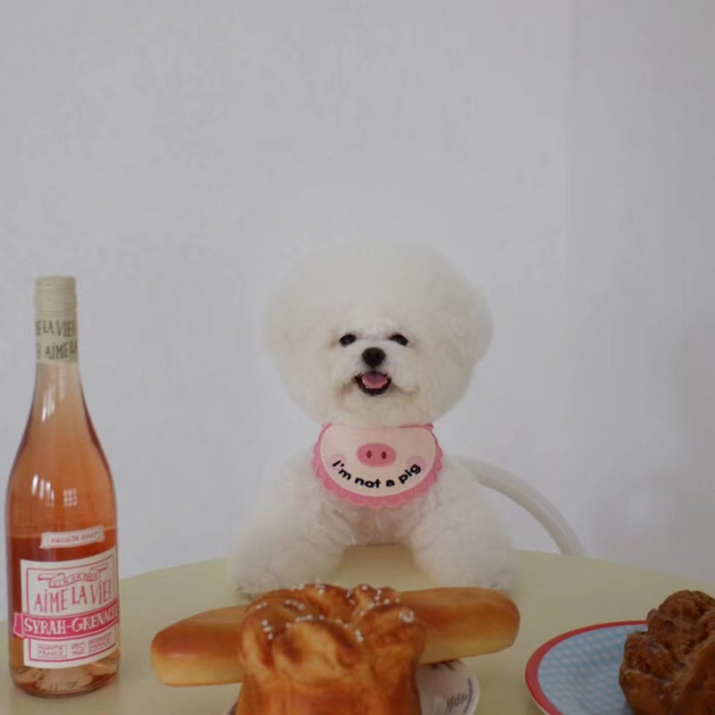 Ins New Slatka svinja Bib Psi Mačke Pet Slina Ručnik Bib Than Bear Medvjed Rekviziti za fotografije Dodaci za mačiće Dizajn odjeće za pse Dodaci