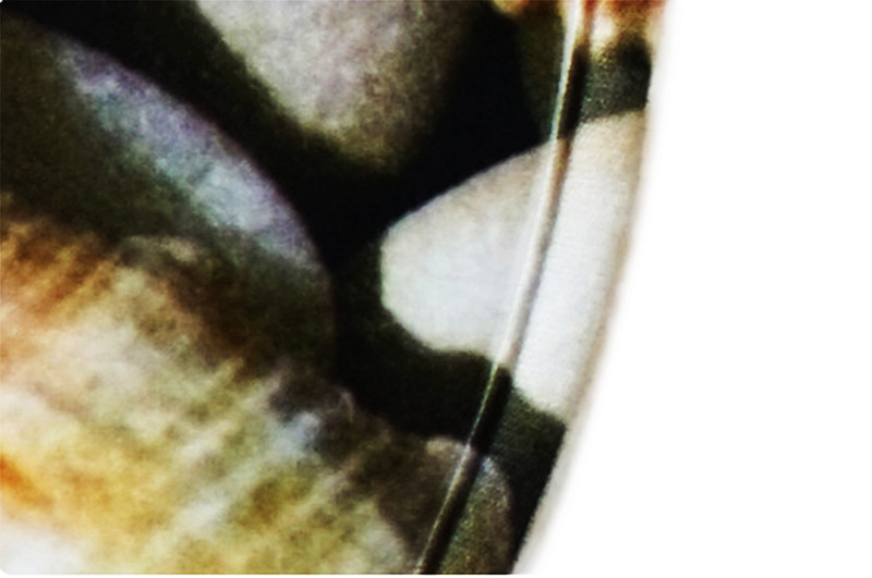 Ar oļiem apdrukātu vannas paklājiņu komplekts vannas istabas paklāju komplekts 3 gab. neslīdošs pēdu paklājiņš tualetes vannas paklājiem dušas paliktņi vannas istabas grīdas paklāji