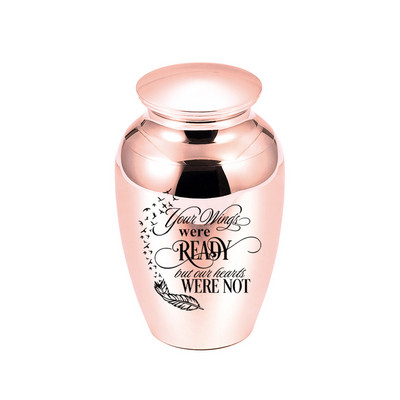 Metaliniai naminių gyvūnėlių karstai Urnos Mažos memorialinės urnos Pelenų laikiklis Kremavimo Urna pelenams Naminių gyvūnėlių urna - Jūsų sparnai buvo paruošti Mūsų širdys nebuvo