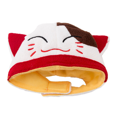 Soe talvine lemmiklooma kassi müts kassidele Armas kassipoeg Juuksed Aksessuaarid Kostüümid Cosplay Riided Kutsika Mütsid gatos productsos para mascotas