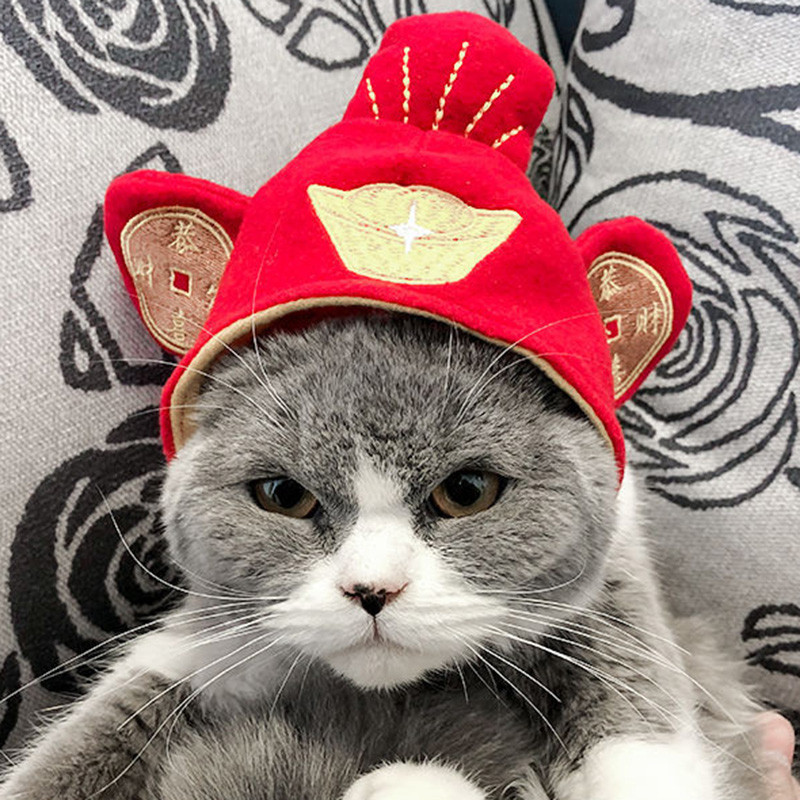 Topla zimska kapa za mačku za mačke Slatka mačića Dodaci za kosu Kostim Cosplay odjeća Kape za štene gatos productos para maskotas