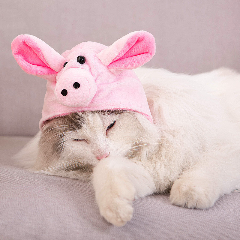 Topla zimska kapa za mačku za mačke Slatka mačića Dodaci za kosu Kostim Cosplay odjeća Kape za štene gatos productos para maskotas
