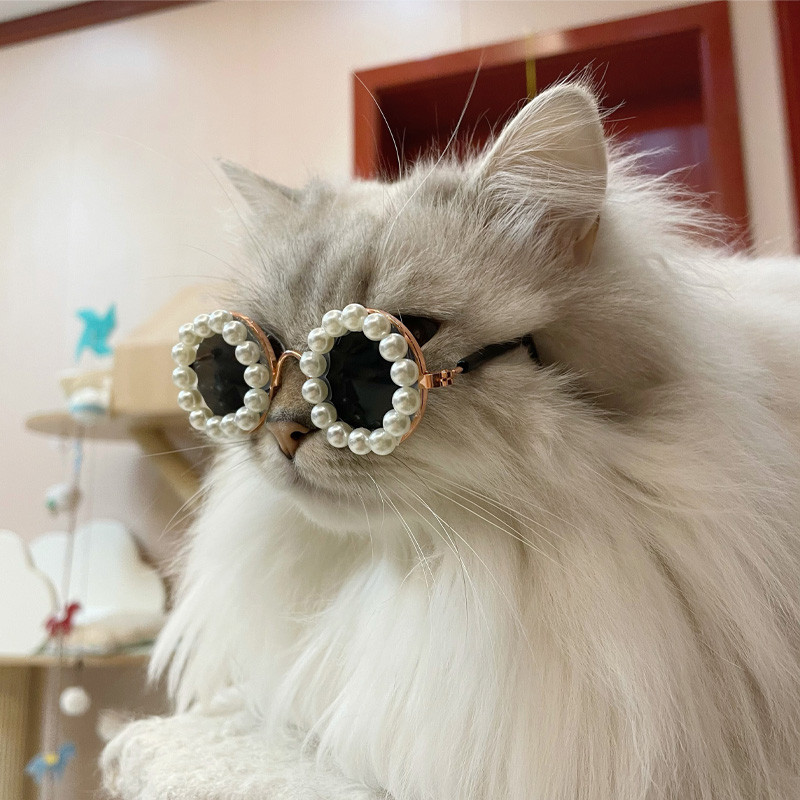 MPK nova serija sunčanih naočala s mačjim biserom Rekviziti za fotografije kućnih ljubimaca također prikladni za pse