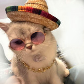 Mačka Pokrivalo za glavu Šešir za kućnog ljubimca Ljetni dodaci Pleteni slamnati šešir u meksičkom stilu Naočale Zlatna ogrlica